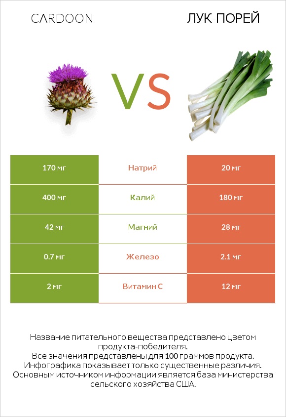 Кардон vs Лук-порей infographic