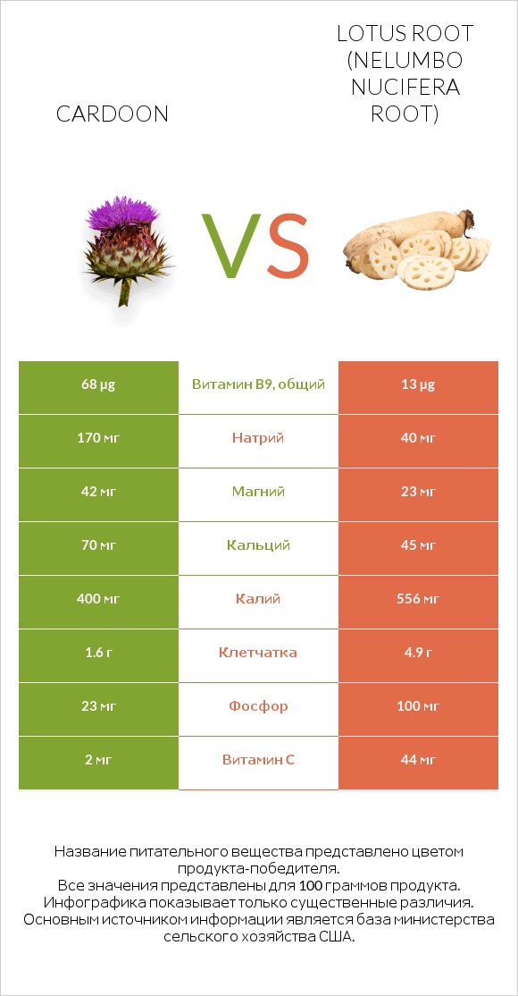 Cardoon vs Lotus root infographic