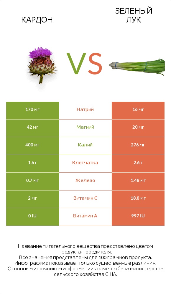 Кардон vs Зеленый лук infographic