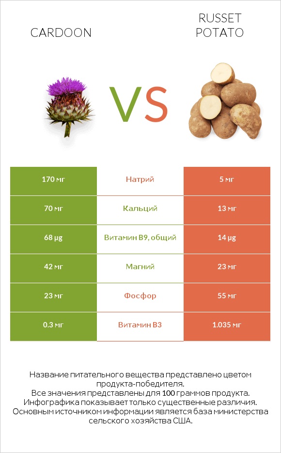 Cardoon vs Russet potato infographic