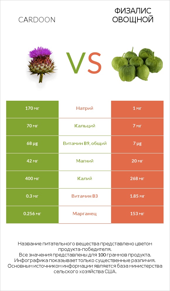 Cardoon vs Физалис овощной infographic