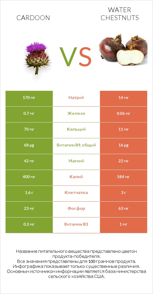 Cardoon vs Water chestnuts infographic