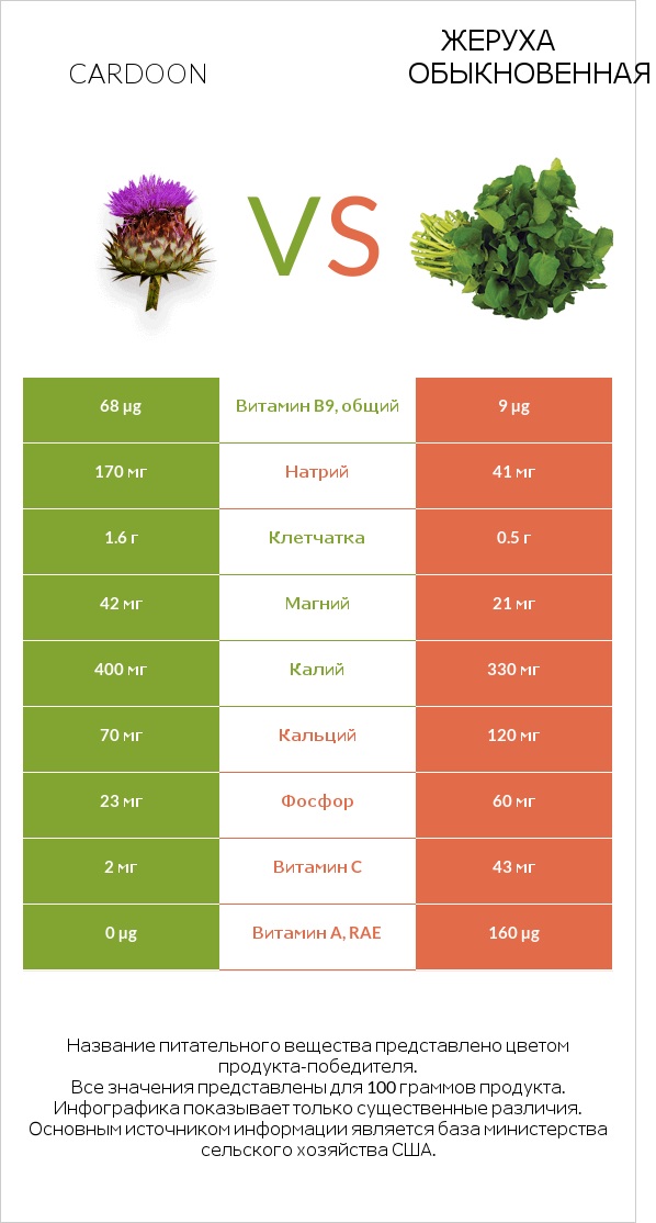 Кардон vs Жеруха обыкновенная infographic