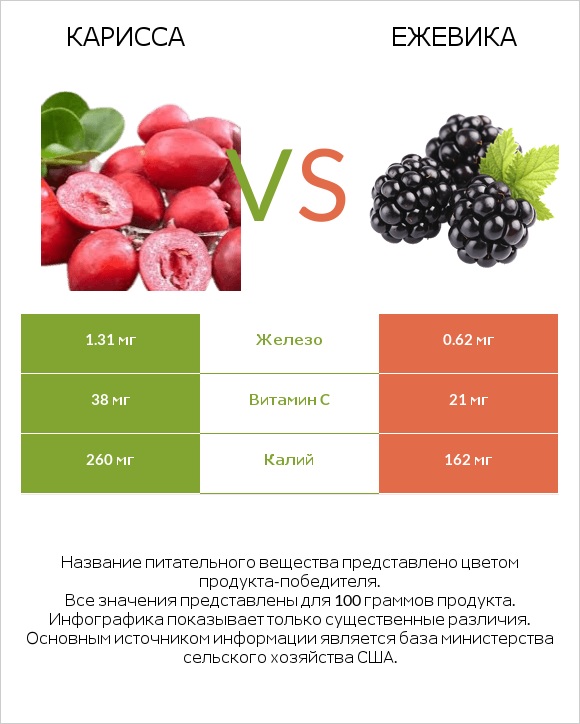 Карисса vs Ежевика infographic