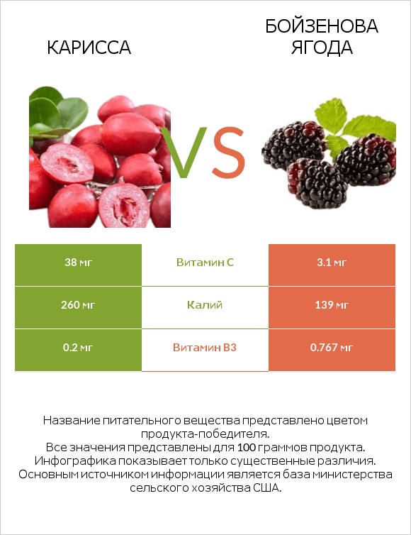 Карисса vs Бойзенова ягода infographic