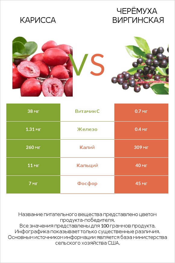 Карисса vs Черёмуха виргинская infographic