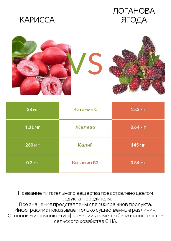 Карисса vs Логанова ягода infographic