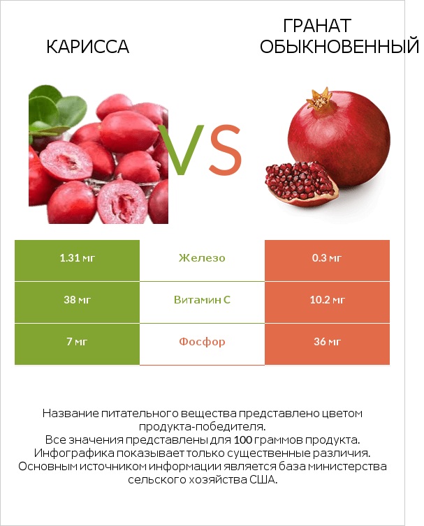 Карисса vs Гранат обыкновенный infographic