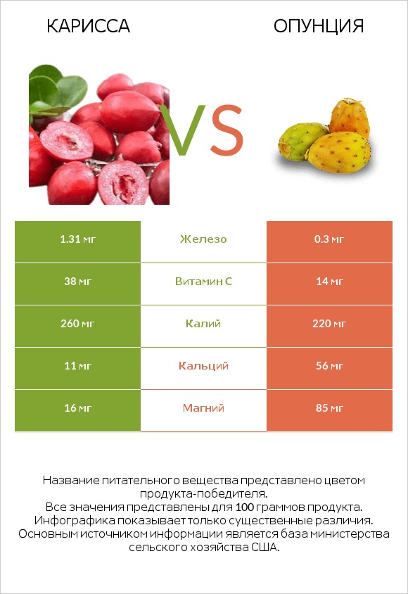 Карисса vs Опунция infographic