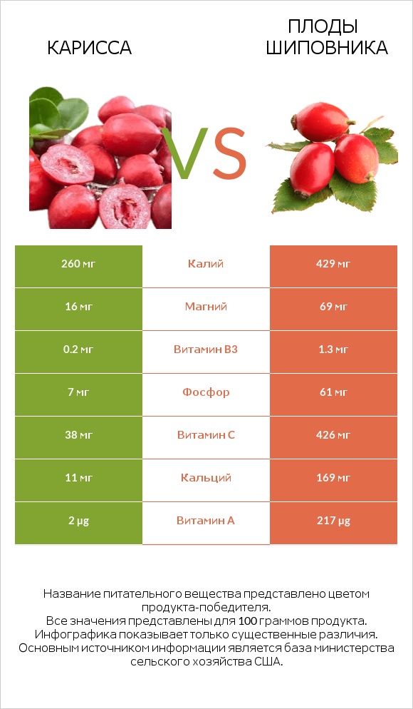 Карисса vs Плоды шиповника infographic