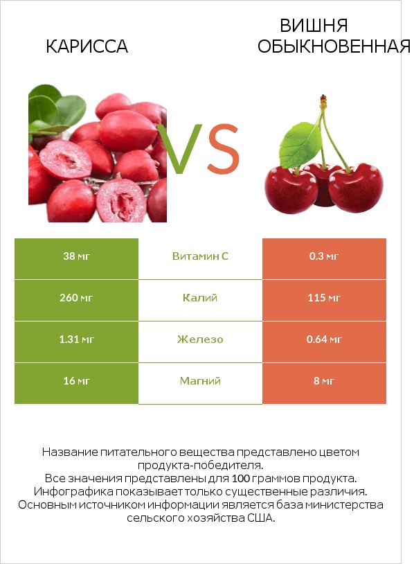 Карисса vs Вишня обыкновенная infographic