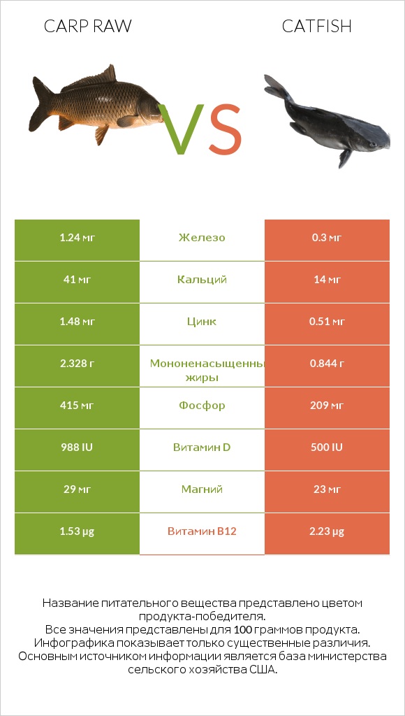 Carp raw vs Catfish infographic