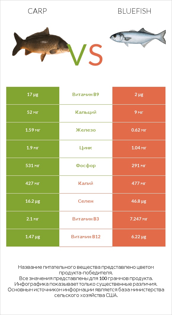 Carp vs Bluefish infographic