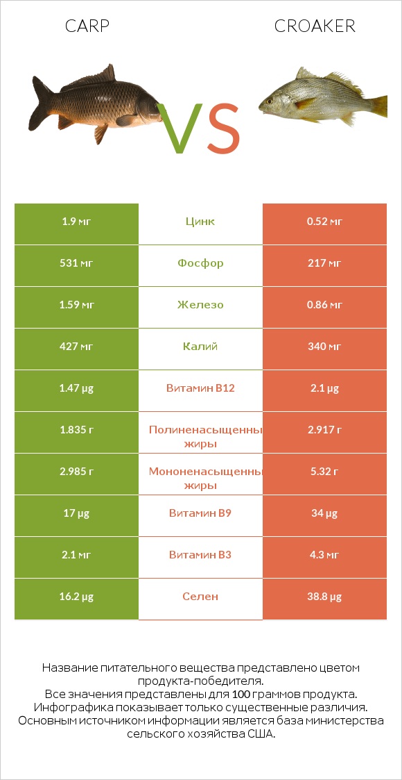 Carp vs Croaker infographic