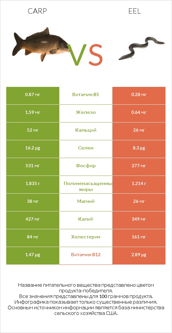 Carp vs Eel infographic