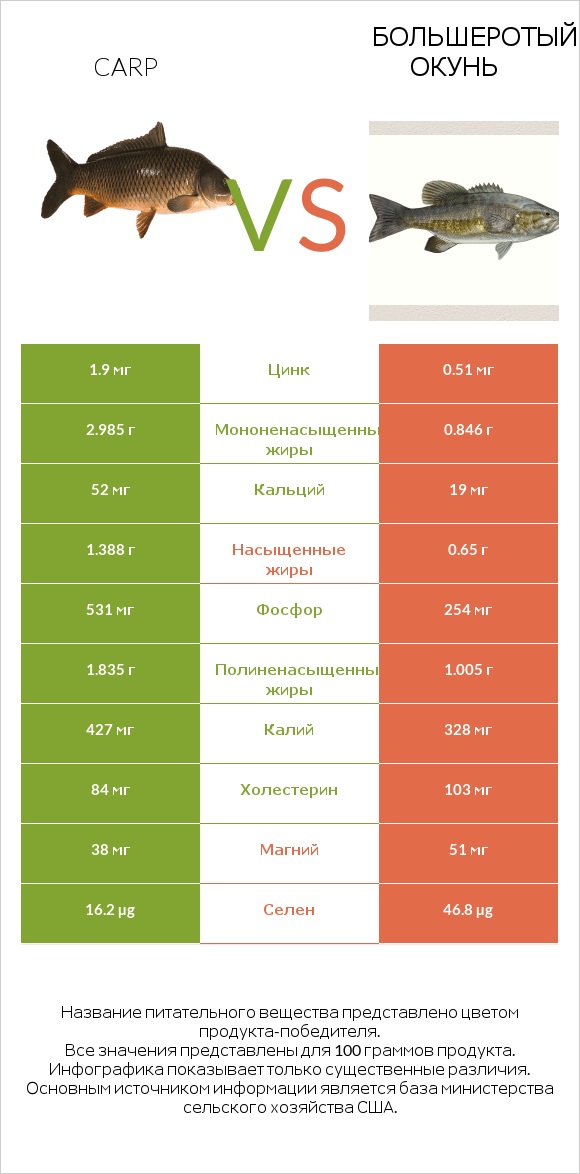 Carp vs Большеротый окунь infographic