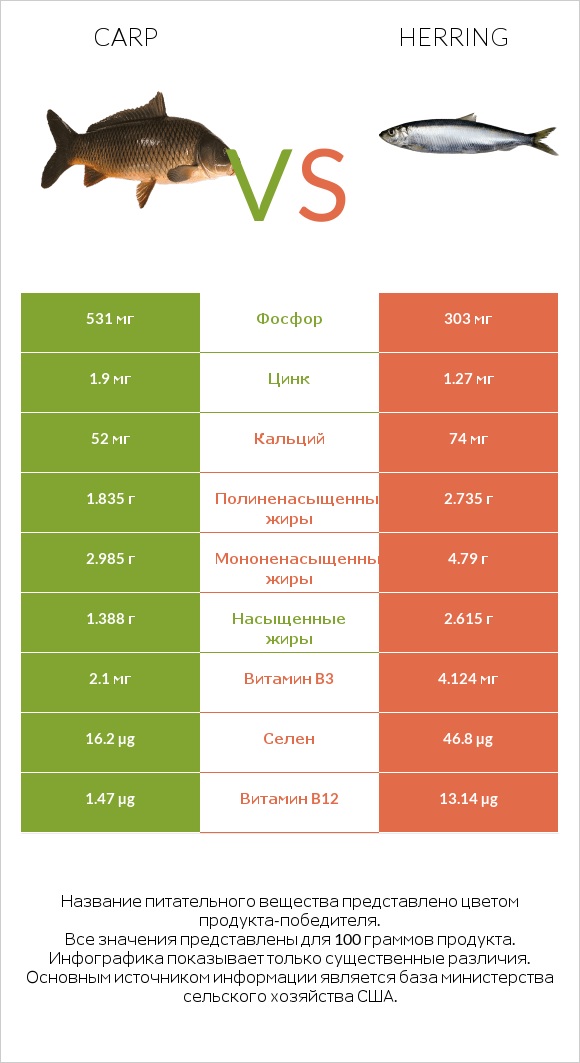 Carp vs Herring infographic