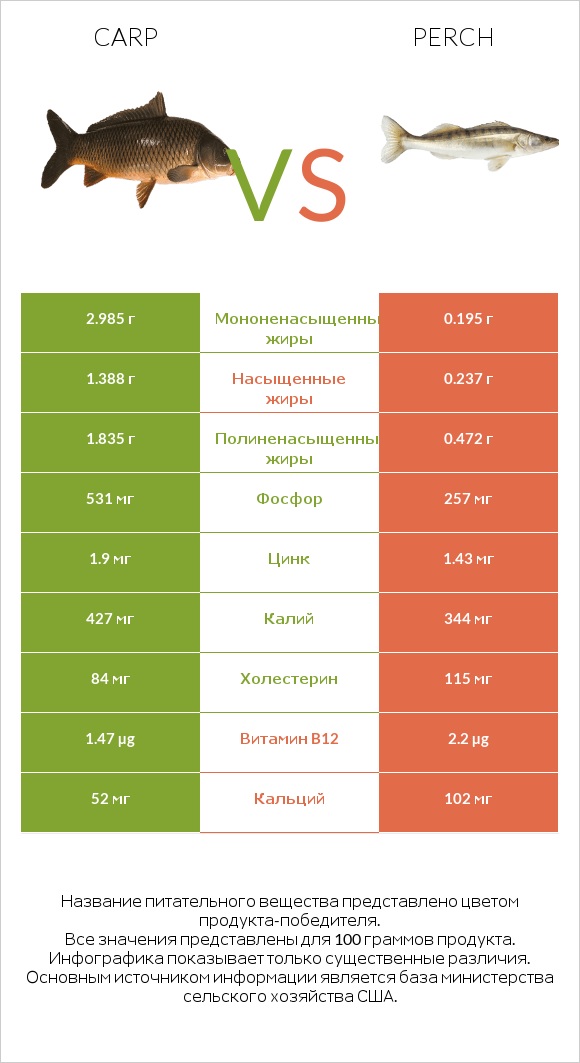 Carp vs Perch infographic