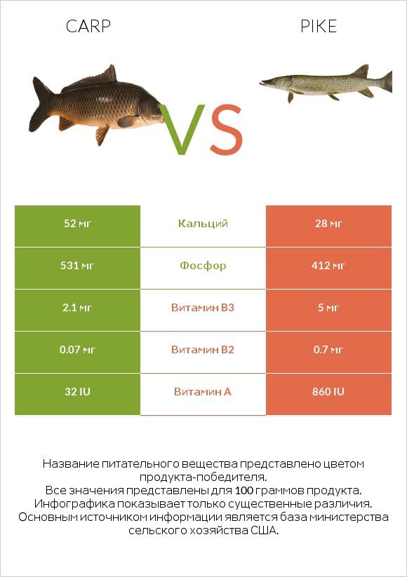 Carp vs Pike infographic