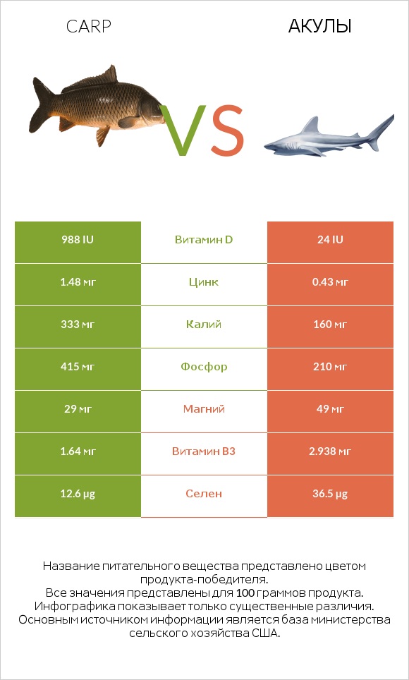 Carp vs Акула infographic