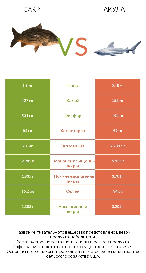 Carp vs Акула infographic