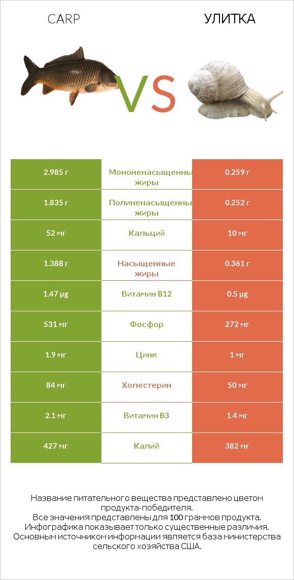 Carp vs Улитка infographic