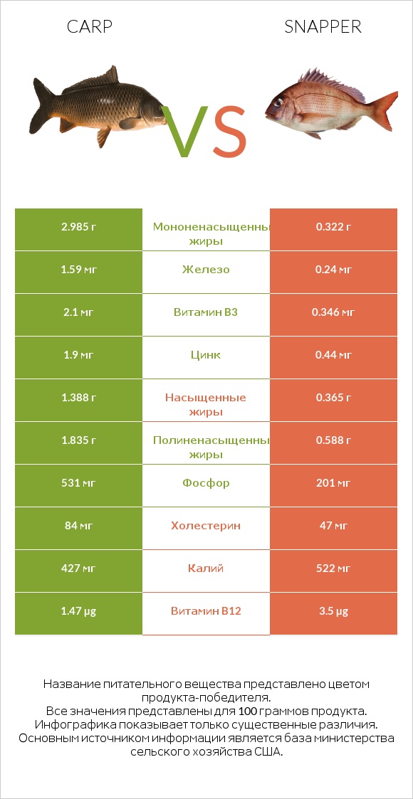 Carp vs Snapper infographic