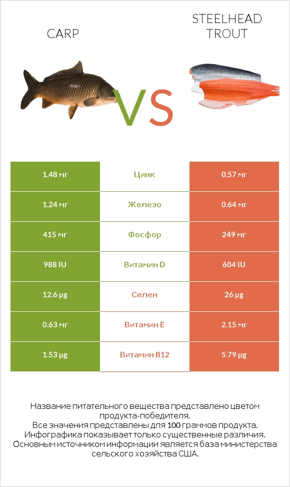 Carp vs Steelhead trout infographic