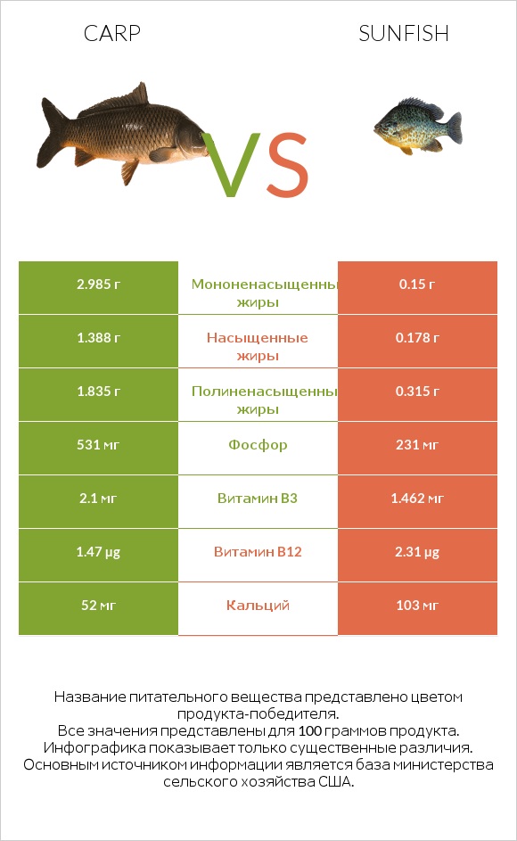 Carp vs Sunfish infographic