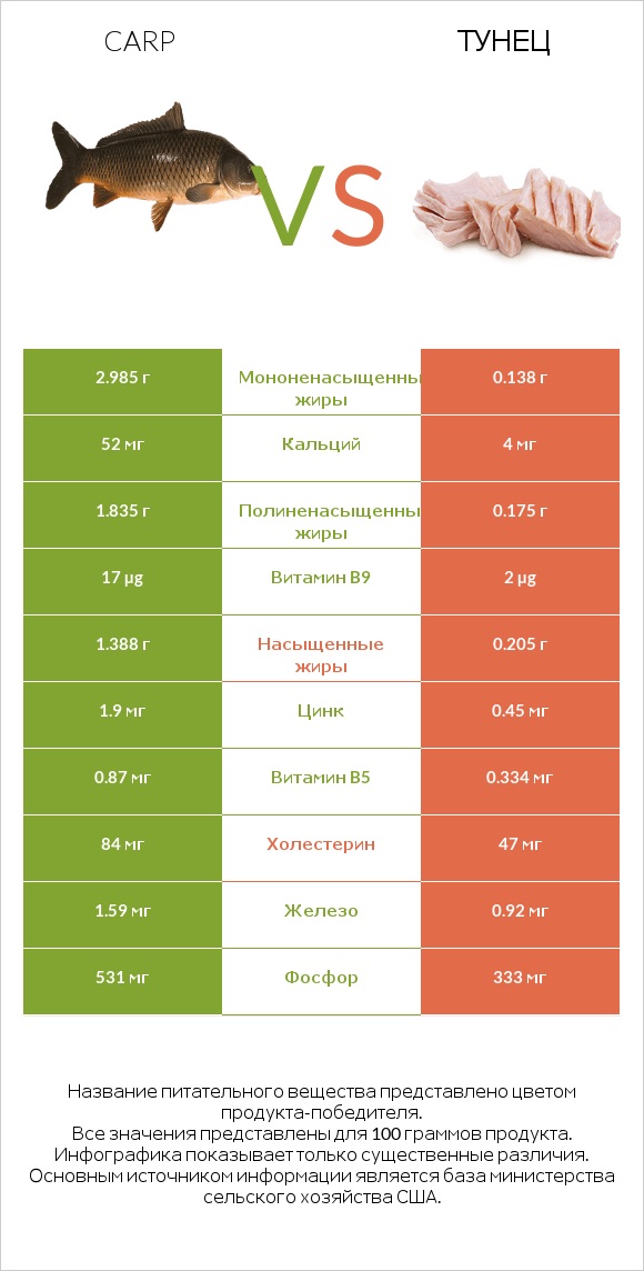 Carp vs Тунец infographic