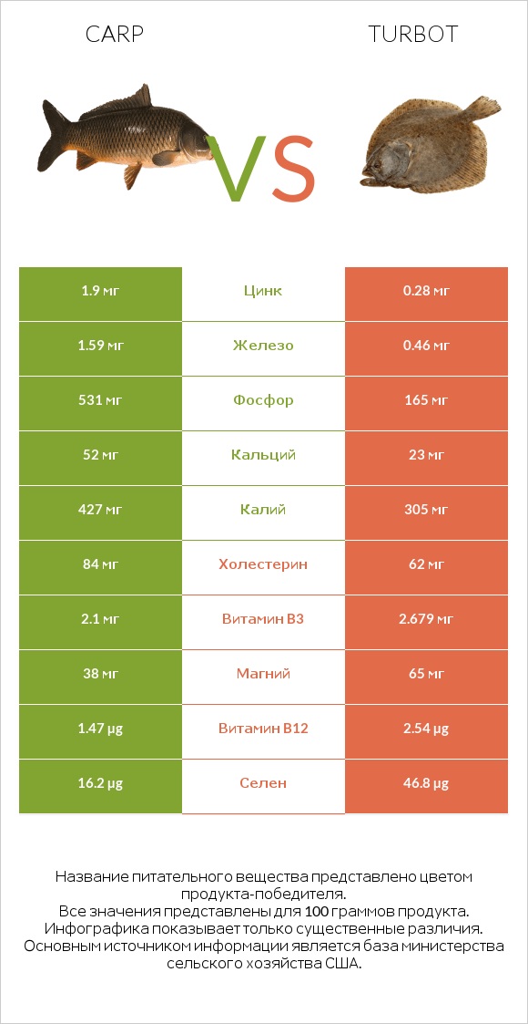 Carp vs Turbot infographic