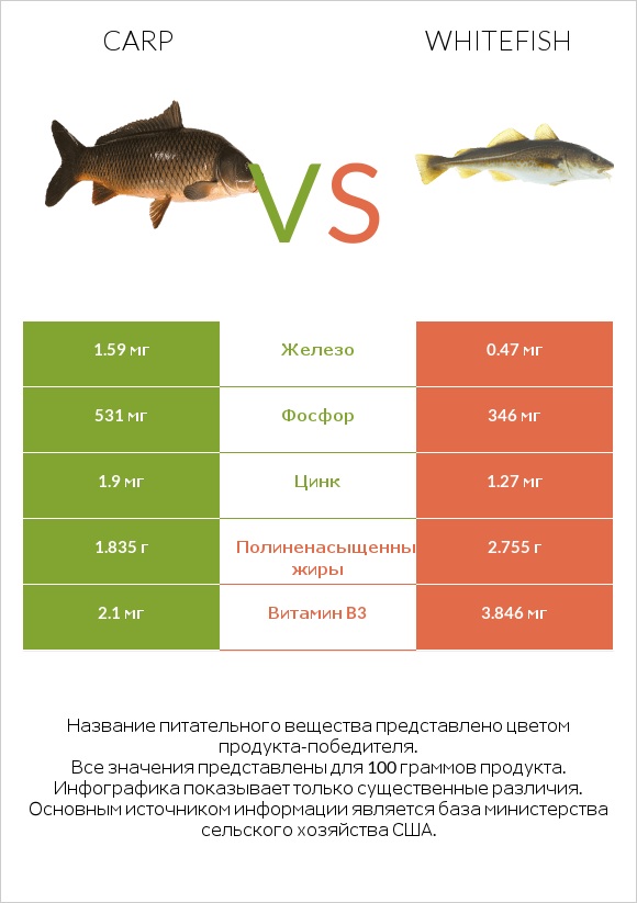 Carp vs Whitefish infographic