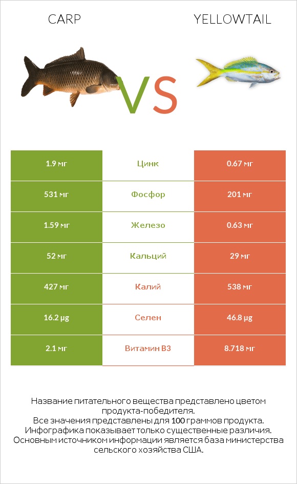 Carp vs Yellowtail infographic