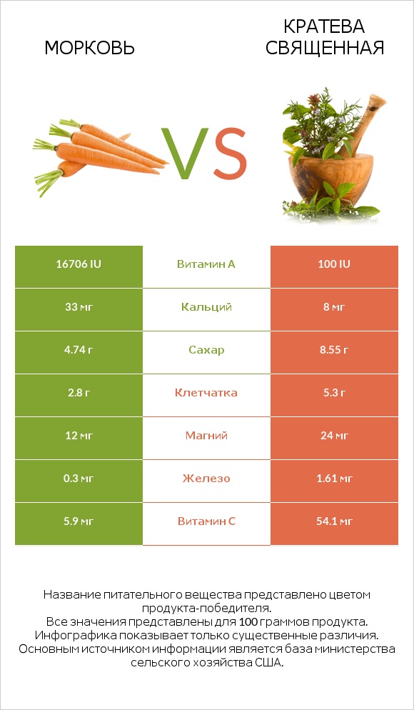 Морковь vs Кратева священная infographic