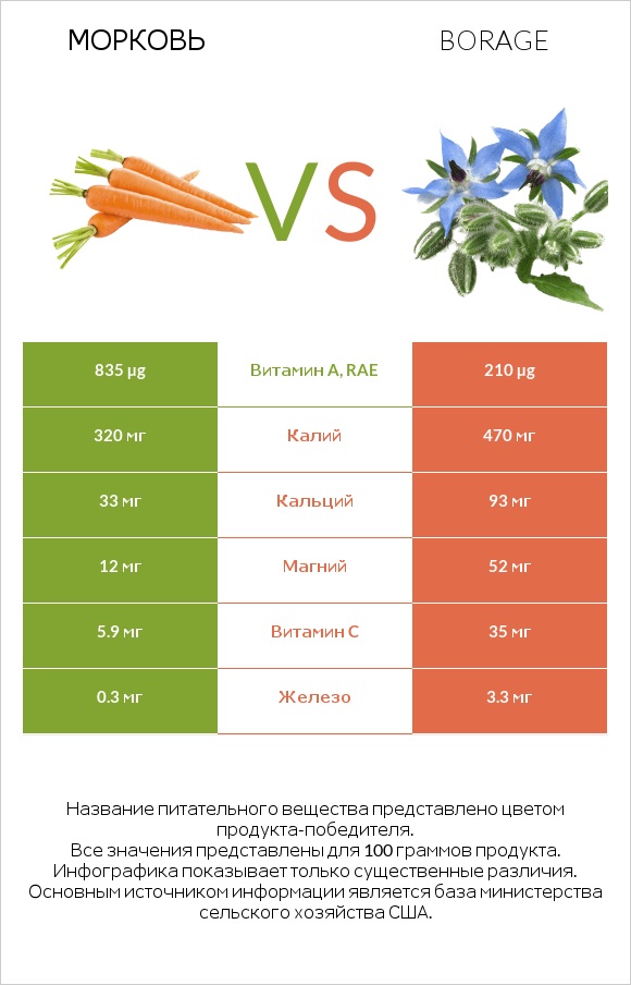 Морковь vs Borage infographic