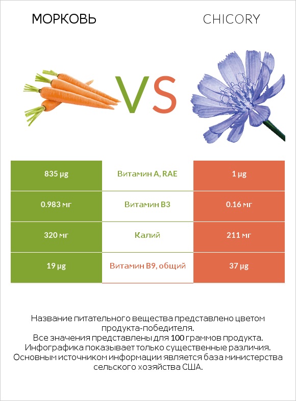 Морковь vs Chicory infographic