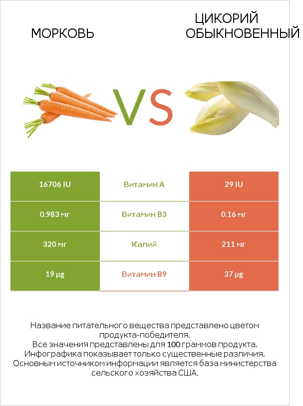 Морковь vs Chicory infographic