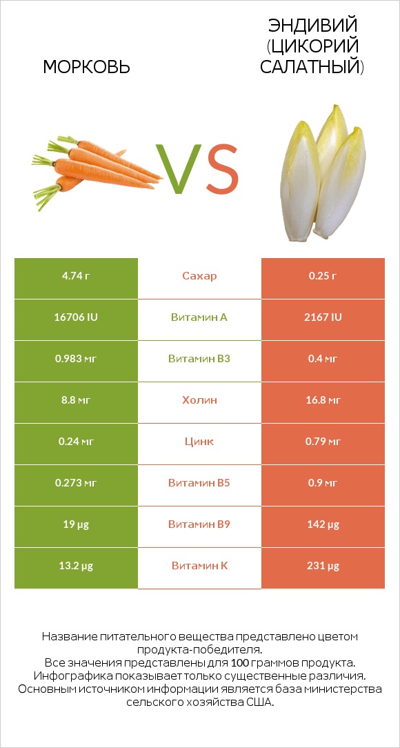 Морковь vs Эндивий (Цикорий салатный)  infographic