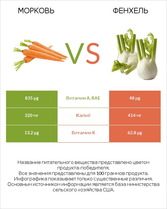 Морковь vs Фенхель infographic