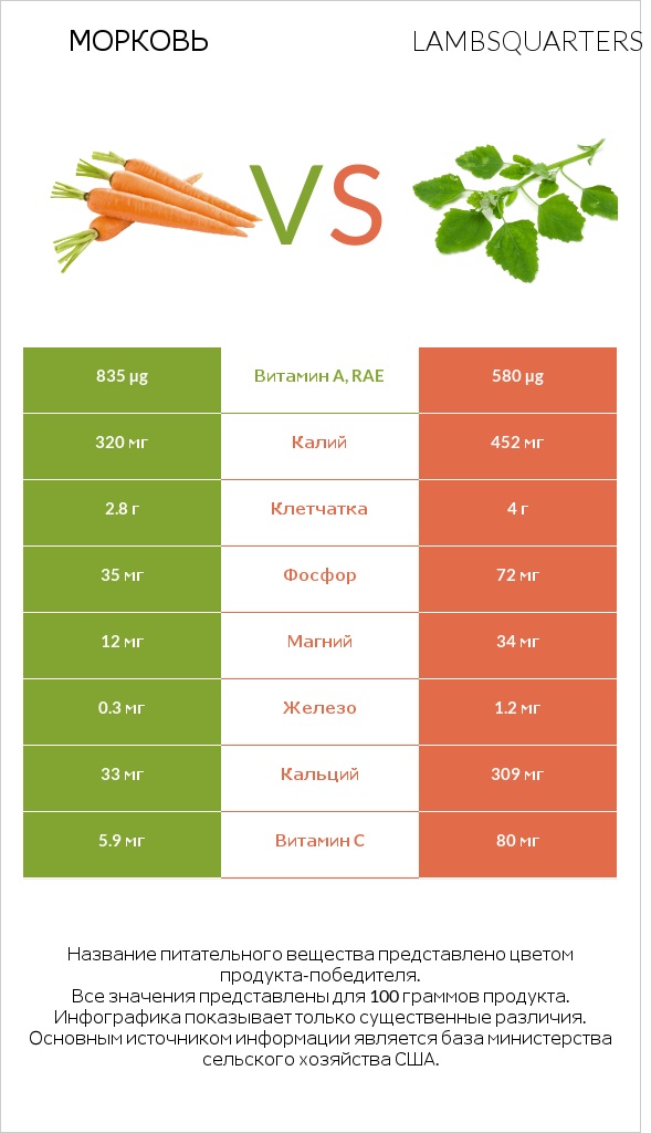Морковь vs Lambsquarters infographic