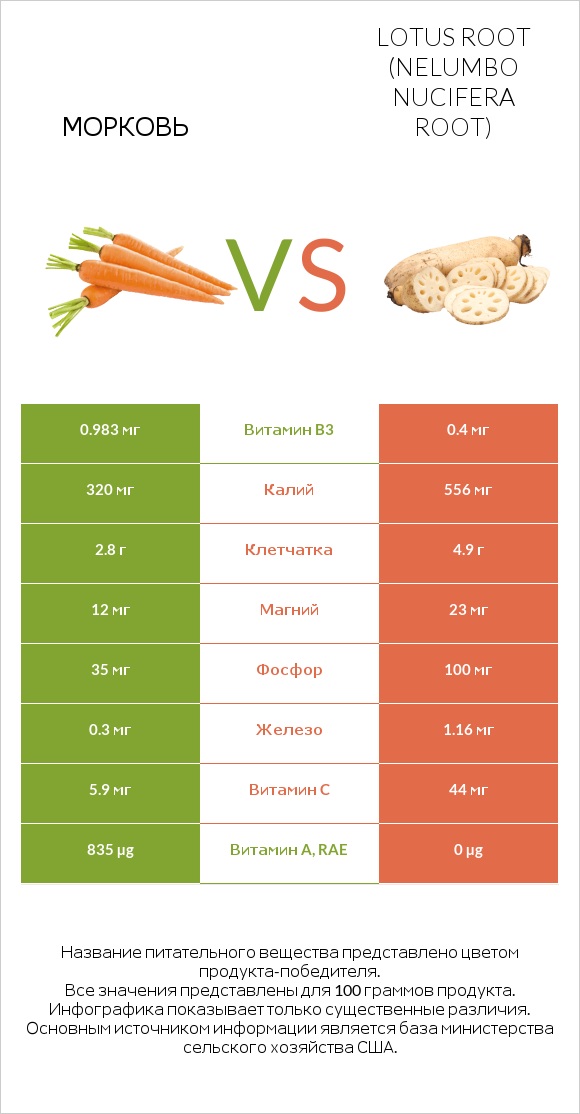 Морковь vs Lotus root infographic