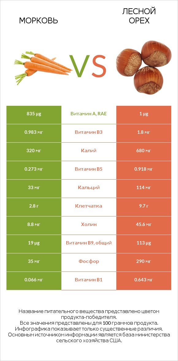 Морковь vs Лесной орех infographic