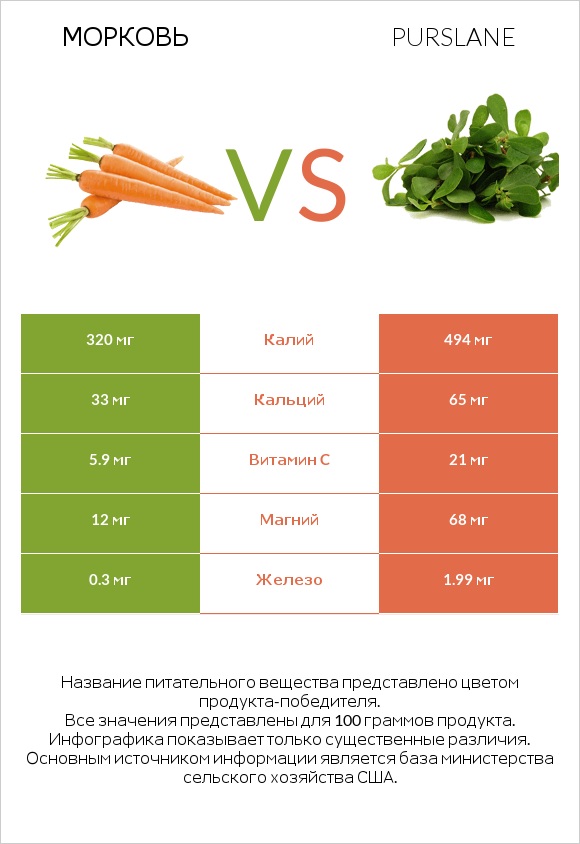 Морковь vs Purslane infographic