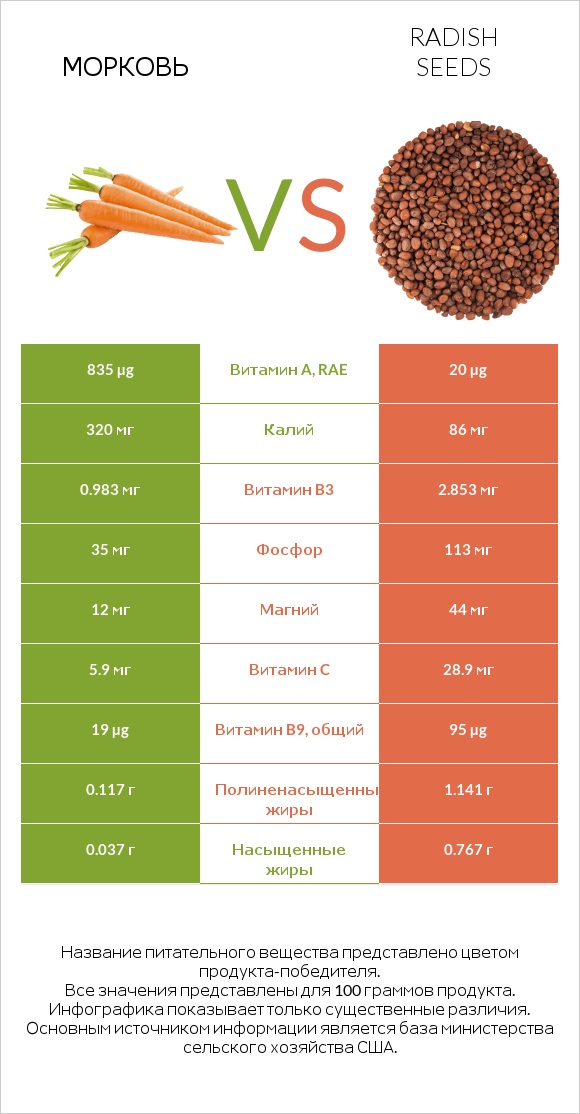 Морковь vs Radish seeds infographic