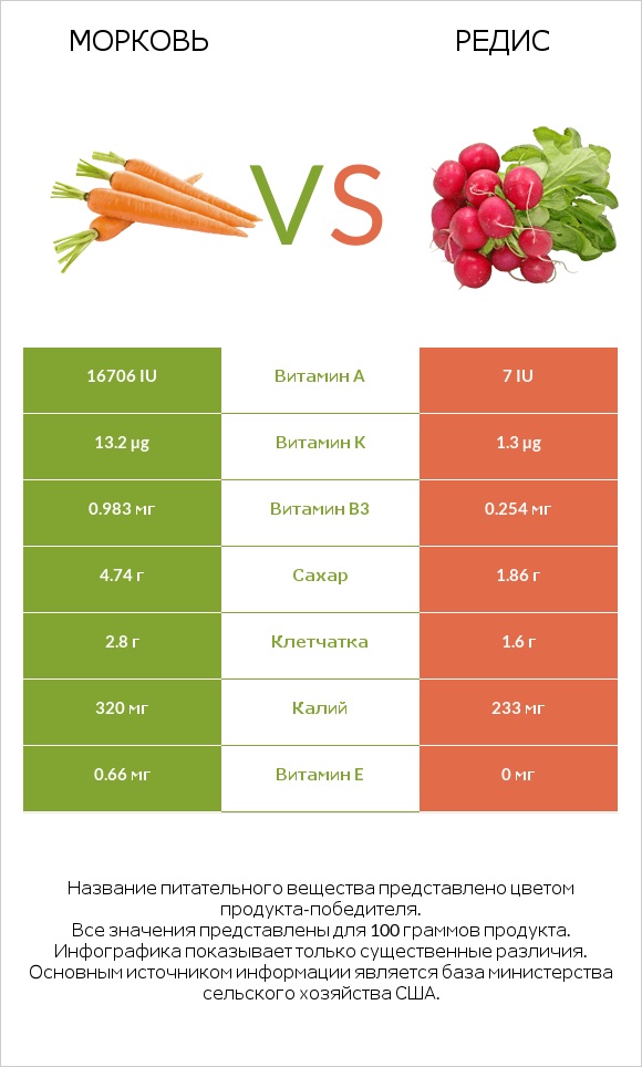 Морковь vs Редис infographic