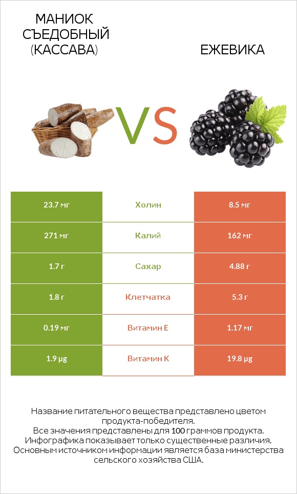 Маниок съедобный (кассава) vs Ежевика infographic