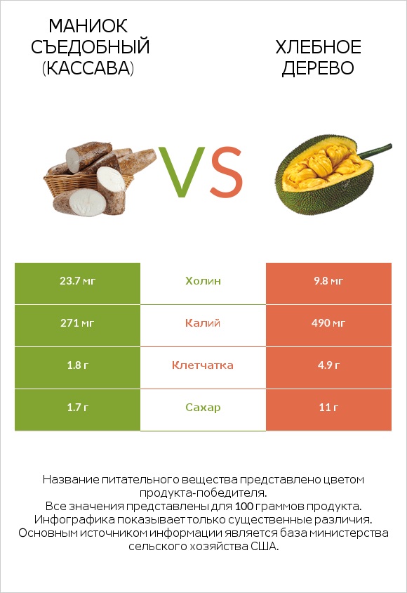 Маниок съедобный (кассава) vs Хлебное дерево infographic