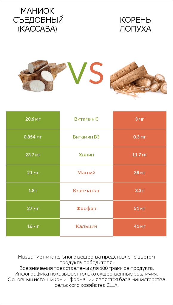 Маниок съедобный (кассава) vs Корень лопуха infographic