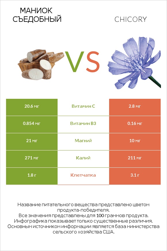 Маниок съедобный vs Chicory infographic
