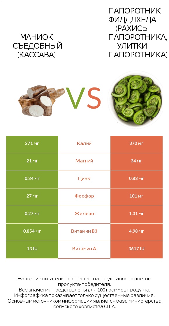 Маниок съедобный vs Fiddlehead ferns infographic